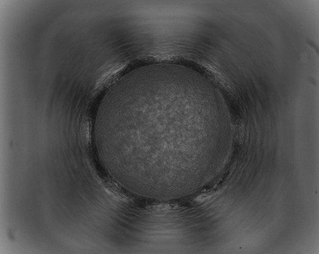 X0000091910740200709191319