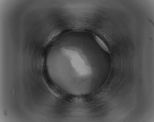 X0000091910742200709191319