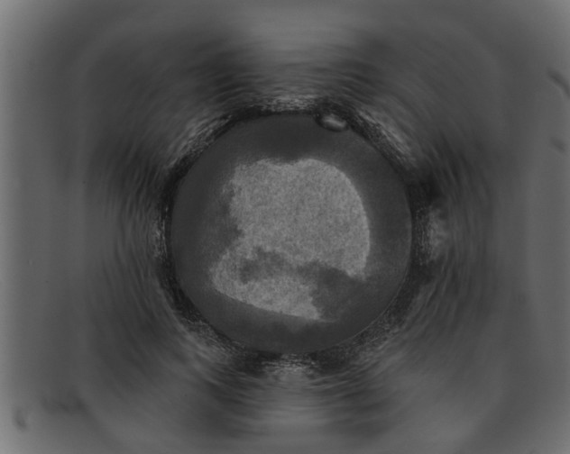 X0000091910743200709191319