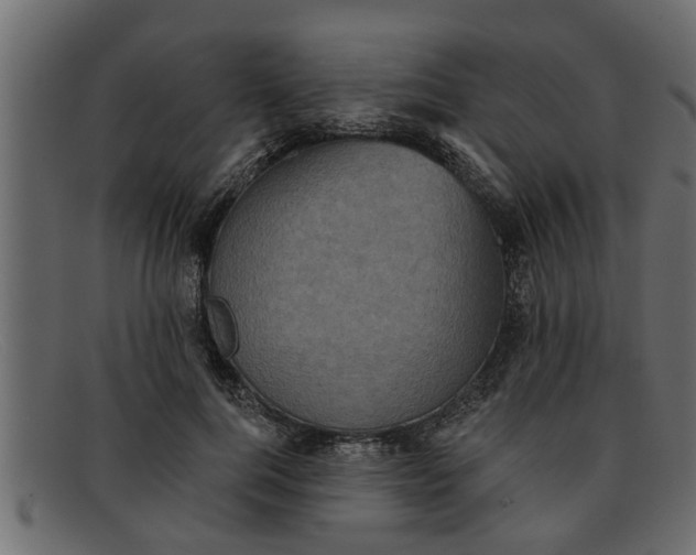 X0000091910744200709191319