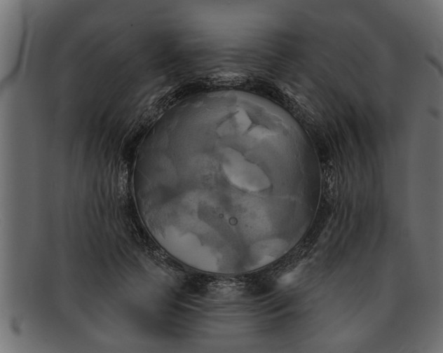 X0000091910745200709191319