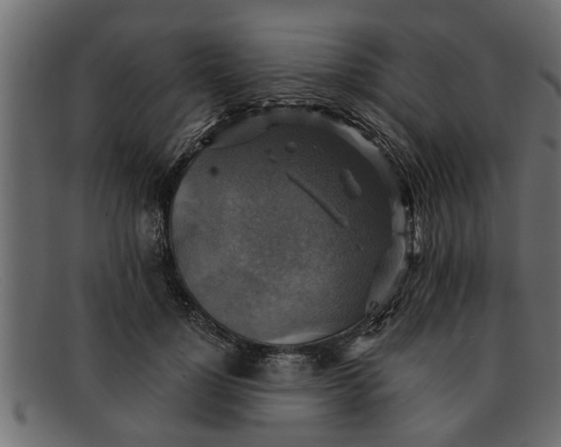 X0000091910748200709191319