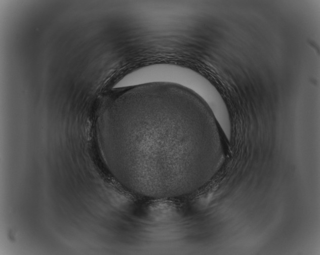 X0000091910750200709191319