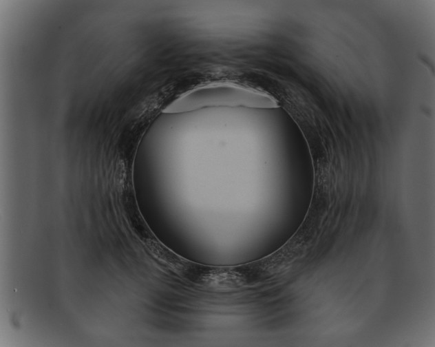 X0000091910752200709191319