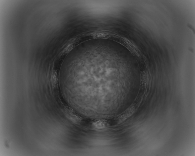 X0000091910761200709191320