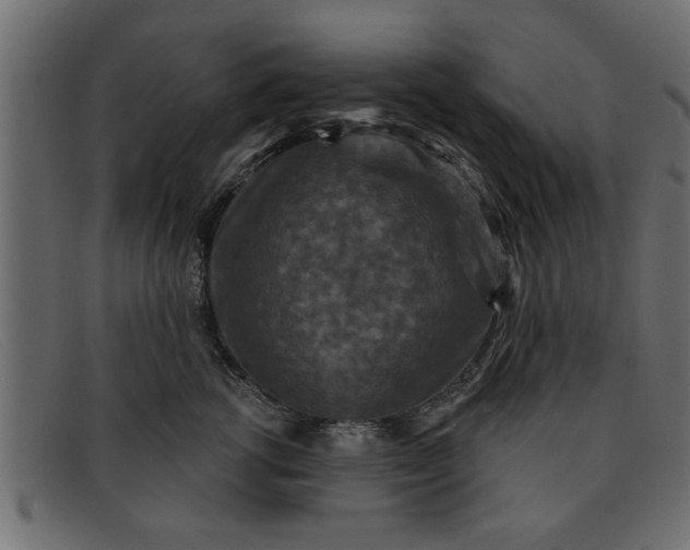 X0000091910762200709191320