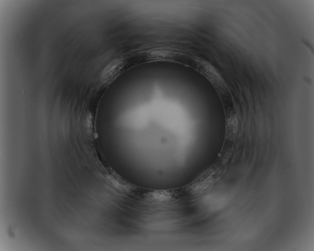 X0000091910765200709191320