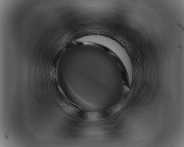 X0000091910766200709191320