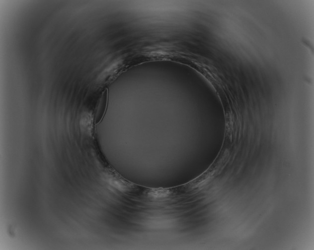 X0000091910767200709191320