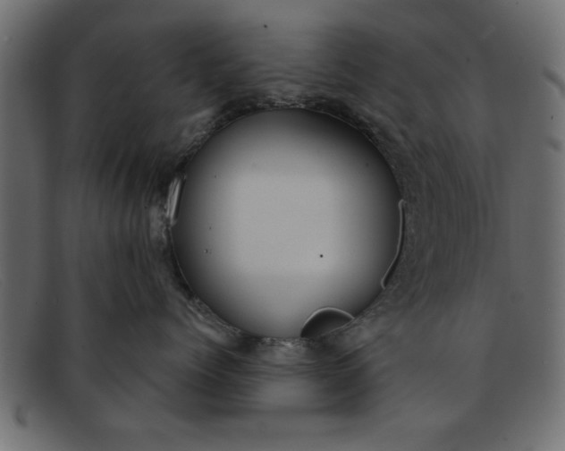 X0000091910768200709191320