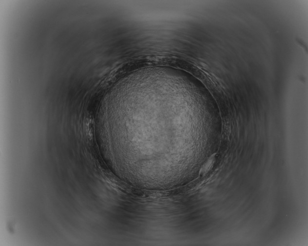 X0000091910770200709191319