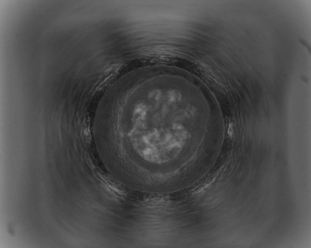 X0000091910771200709191319