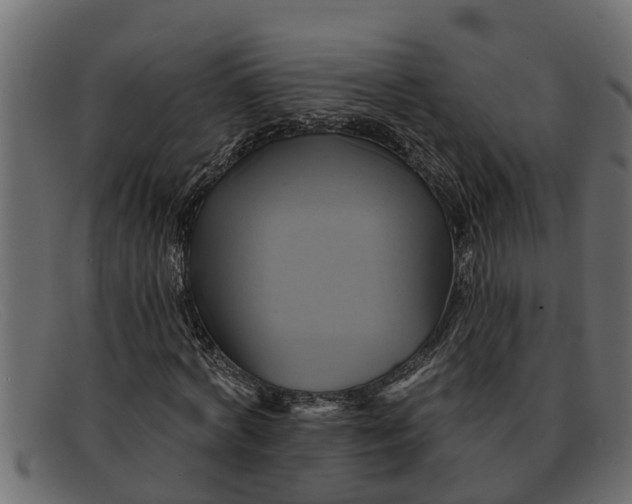 X0000091910772200709191319