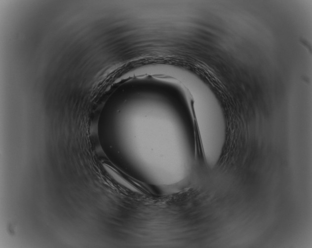 X0000091910773200709191319