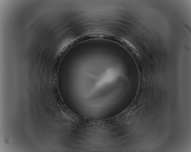 X0000091910775200709191319