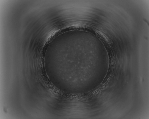 X0000091910776200709191319