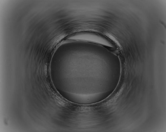 X0000091910777200709191319