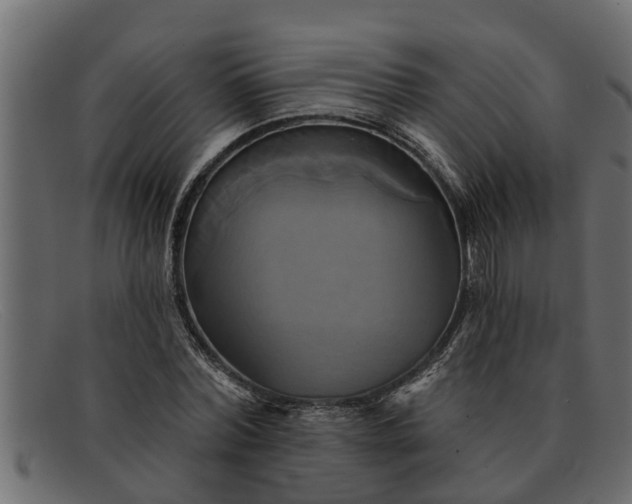 X0000091910780200709191319