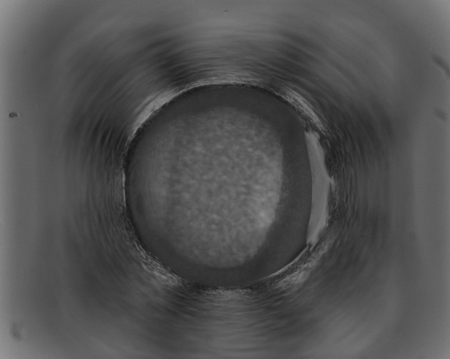 X0000091910781200709191319