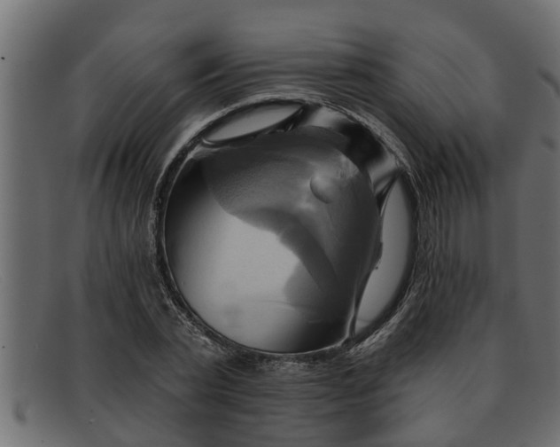 X0000091910783200709191319