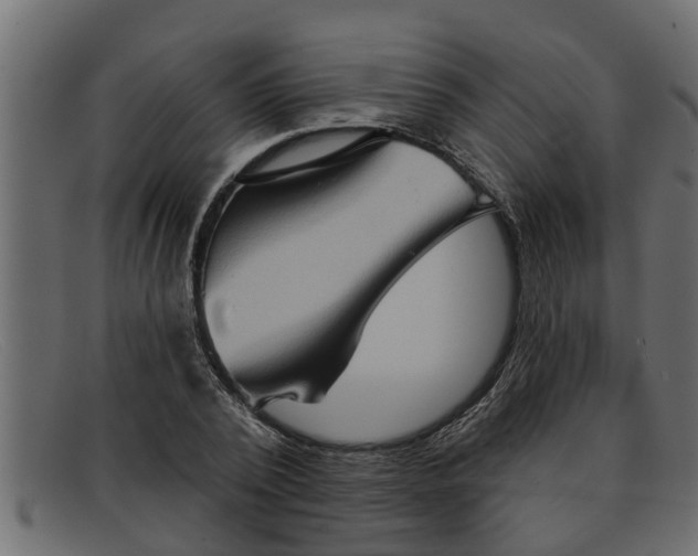 X0000091910784200709191319