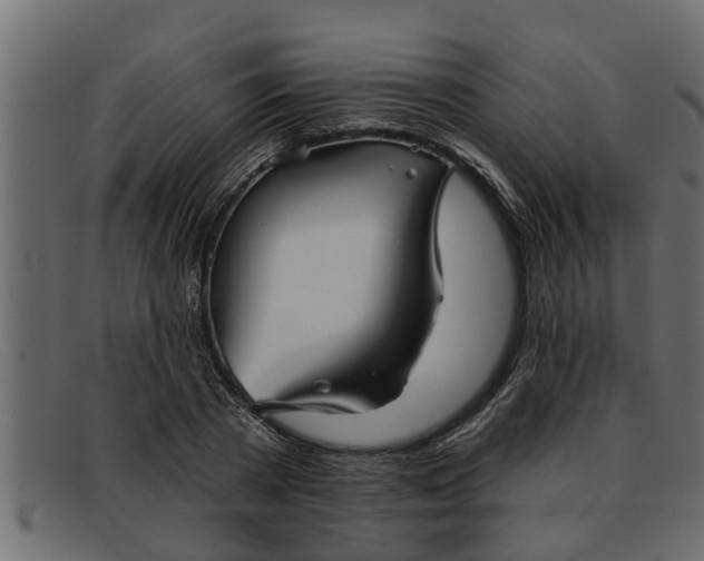 X0000091910785200709191319