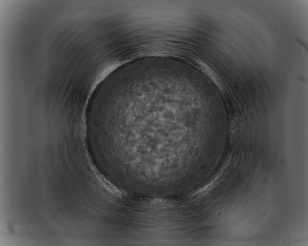 X0000091910787200709191319