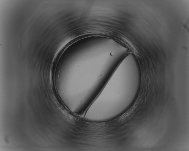 X0000091910788200709191319