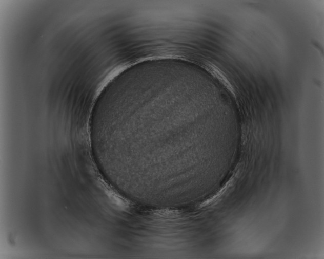 X0000091910789200709191319