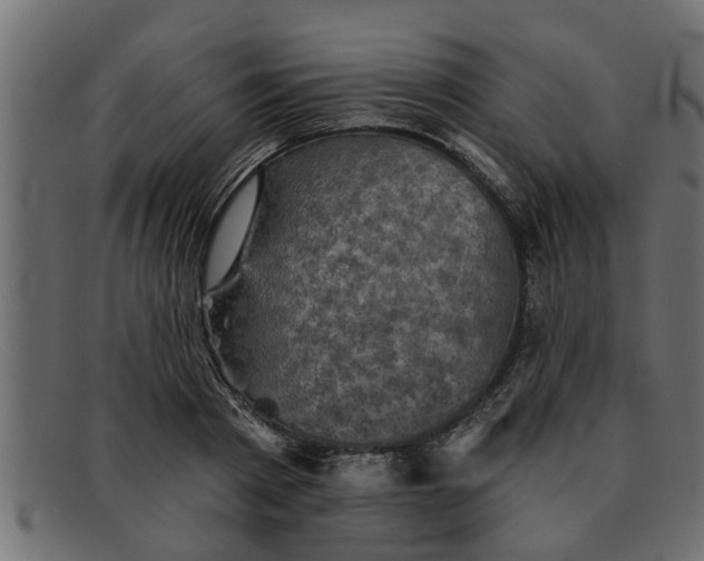 X0000091910793200709191319