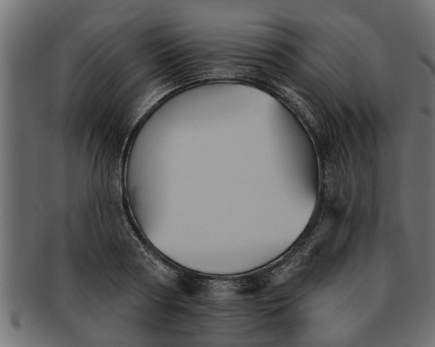 X0000091910794200709191319