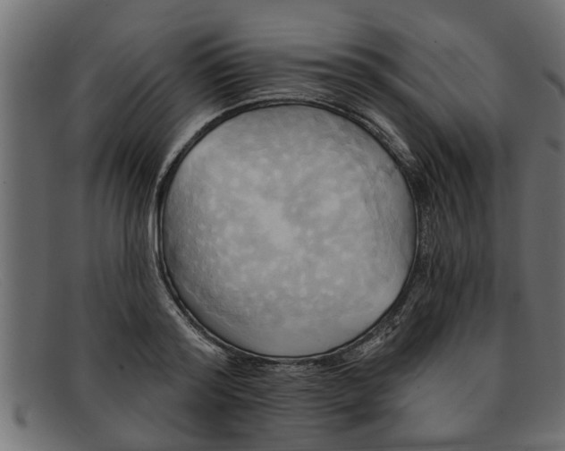 X0000091910796200709191319