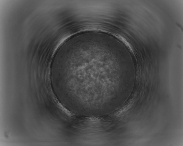 X0000091910799200709191319