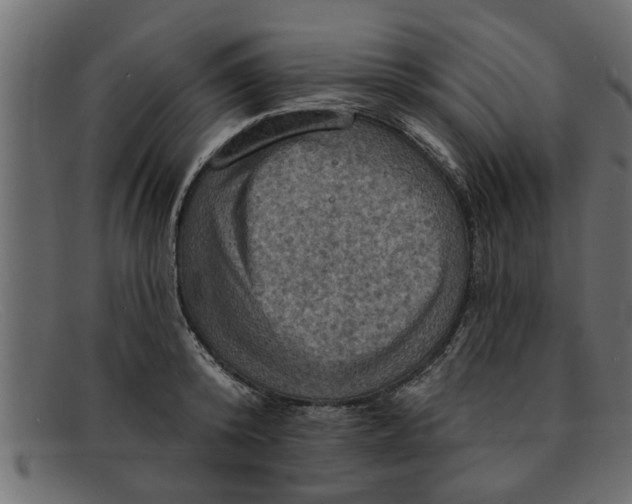 X0000091910800200709191319