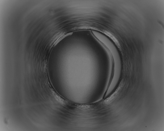 X0000091910801200709191319