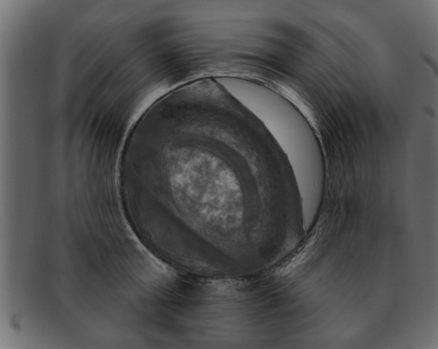 X0000091910803200709191319