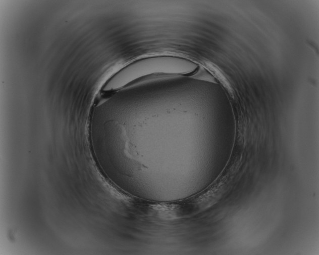 X0000091910805200709191319