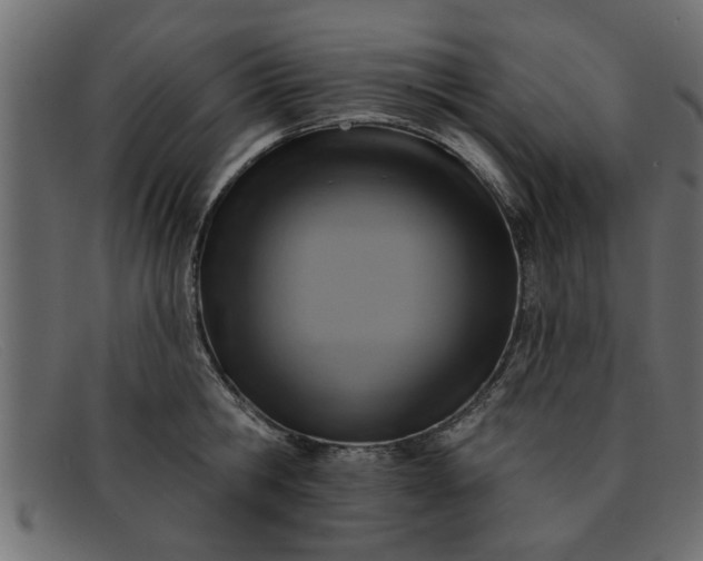 X0000091910806200709191319