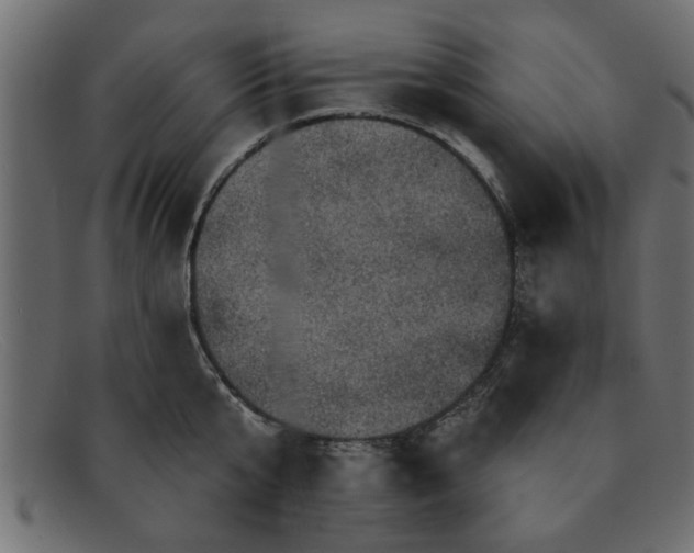 X0000091910807200709191319