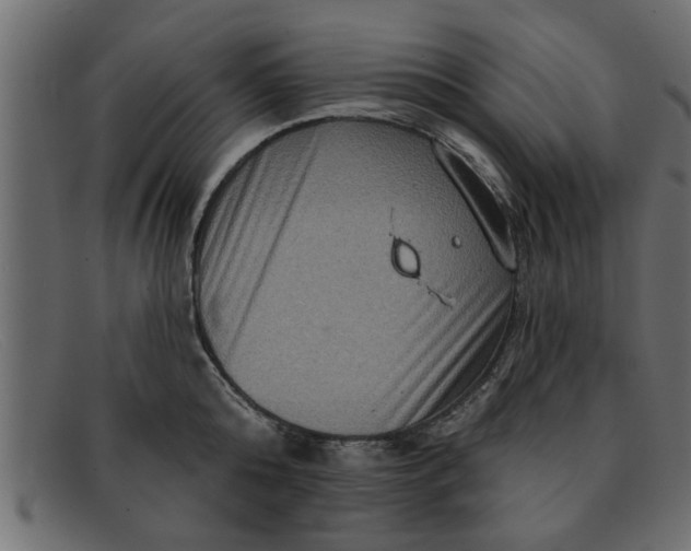 X0000091910808200709191319