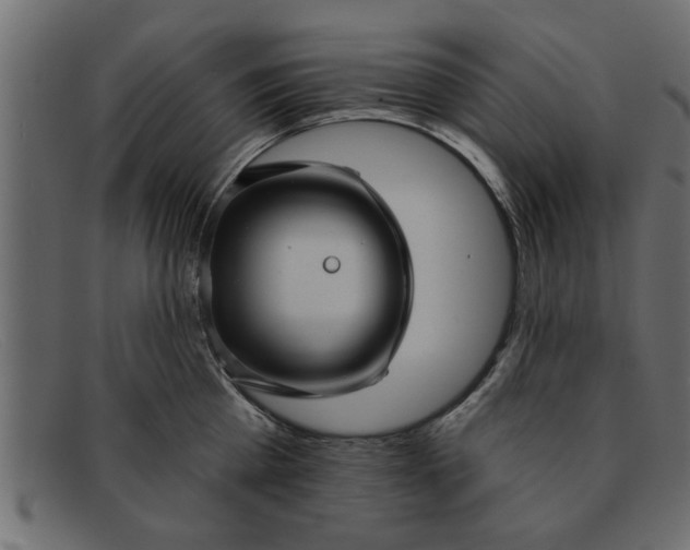 X0000091910809200709191319