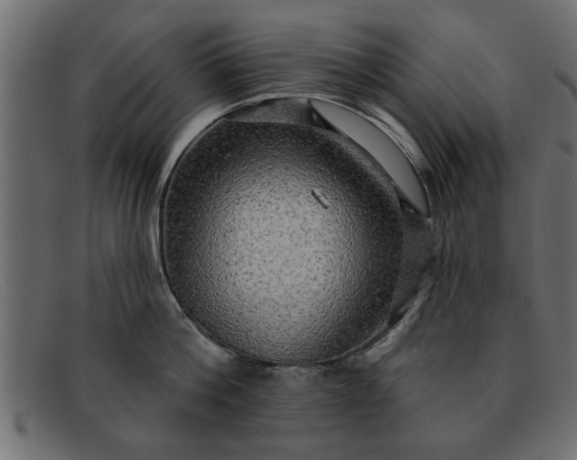 X0000091910812200709191319