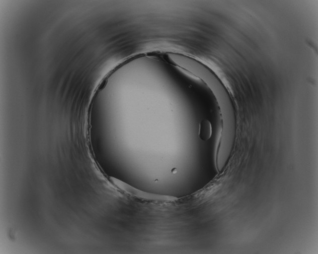 X0000091910815200709191319