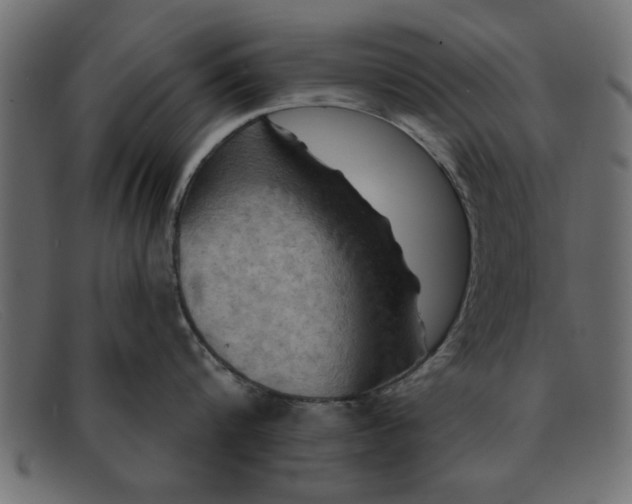 X0000091910816200709191319