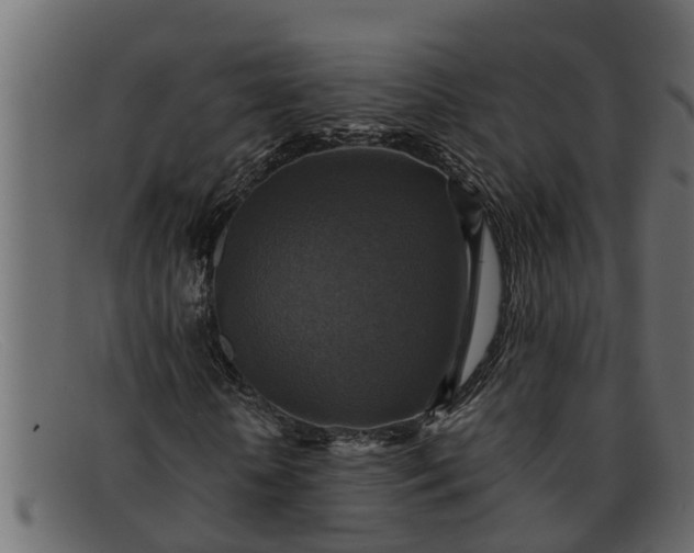 X0000091910818200709191318