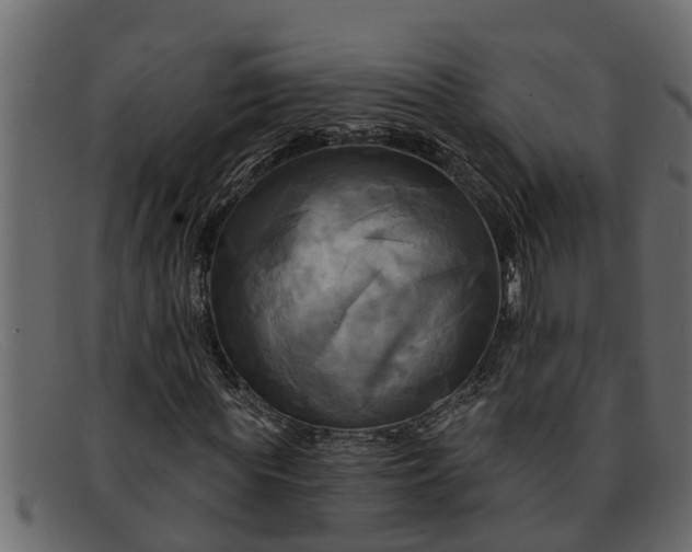 X0000091910819200709191318