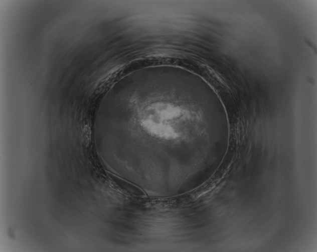 X0000091910821200709191318