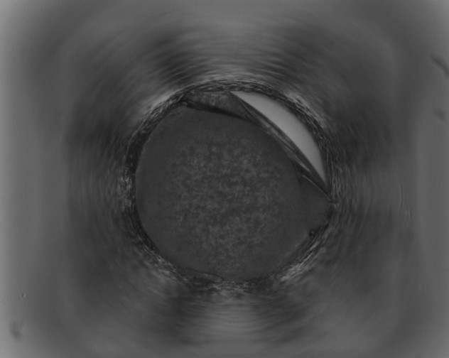 X0000091910822200709191318