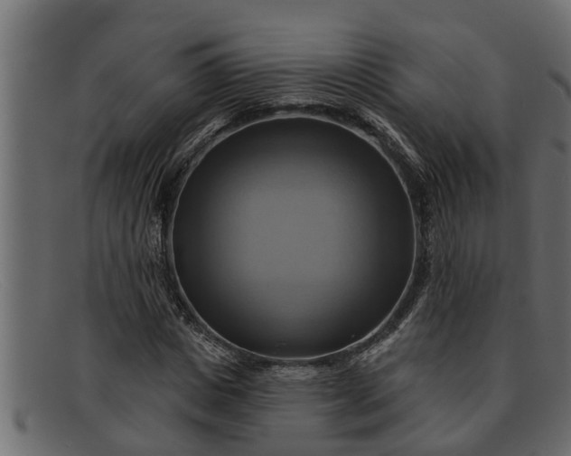 X0000091910825200709191318