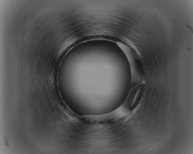 X0000091910826200709191318